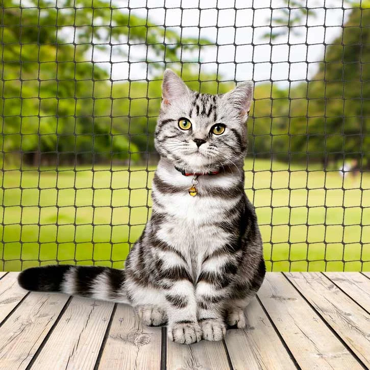 Safe Outdoor Play for Pets with a Cat Safety Net for Garden Areas