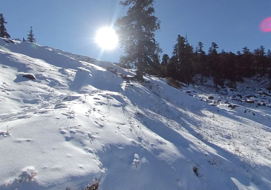 Kuari Pass Trek: The Silence That Spoke Louder Than Words