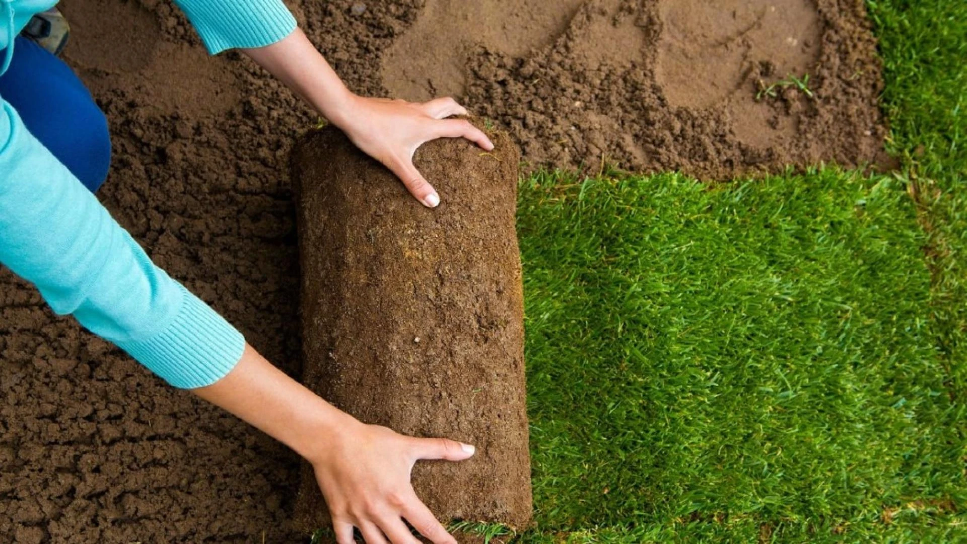 Hardscaping Trends Every Homeowner Should Know