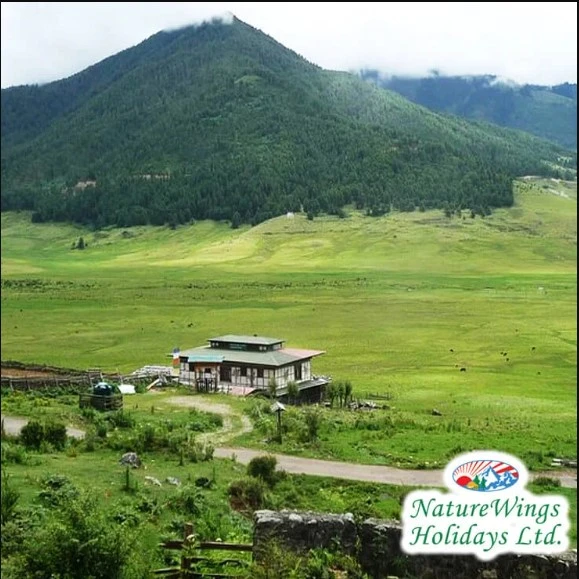 Bhutanese Cuisine to Savor in Bhutan Packages from Bangalore