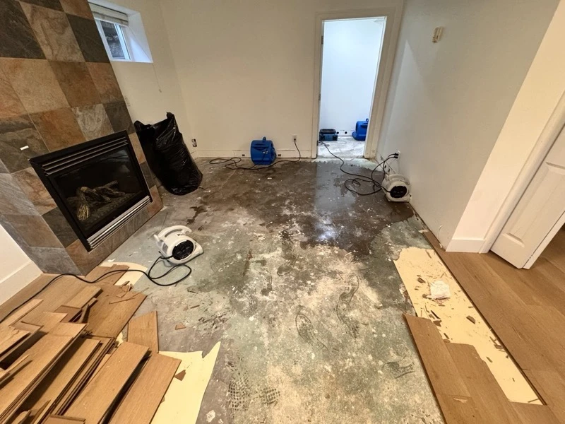 Beyond the Basics: Unseen Ways Water Damage Can Devalue Your Vancouver Home