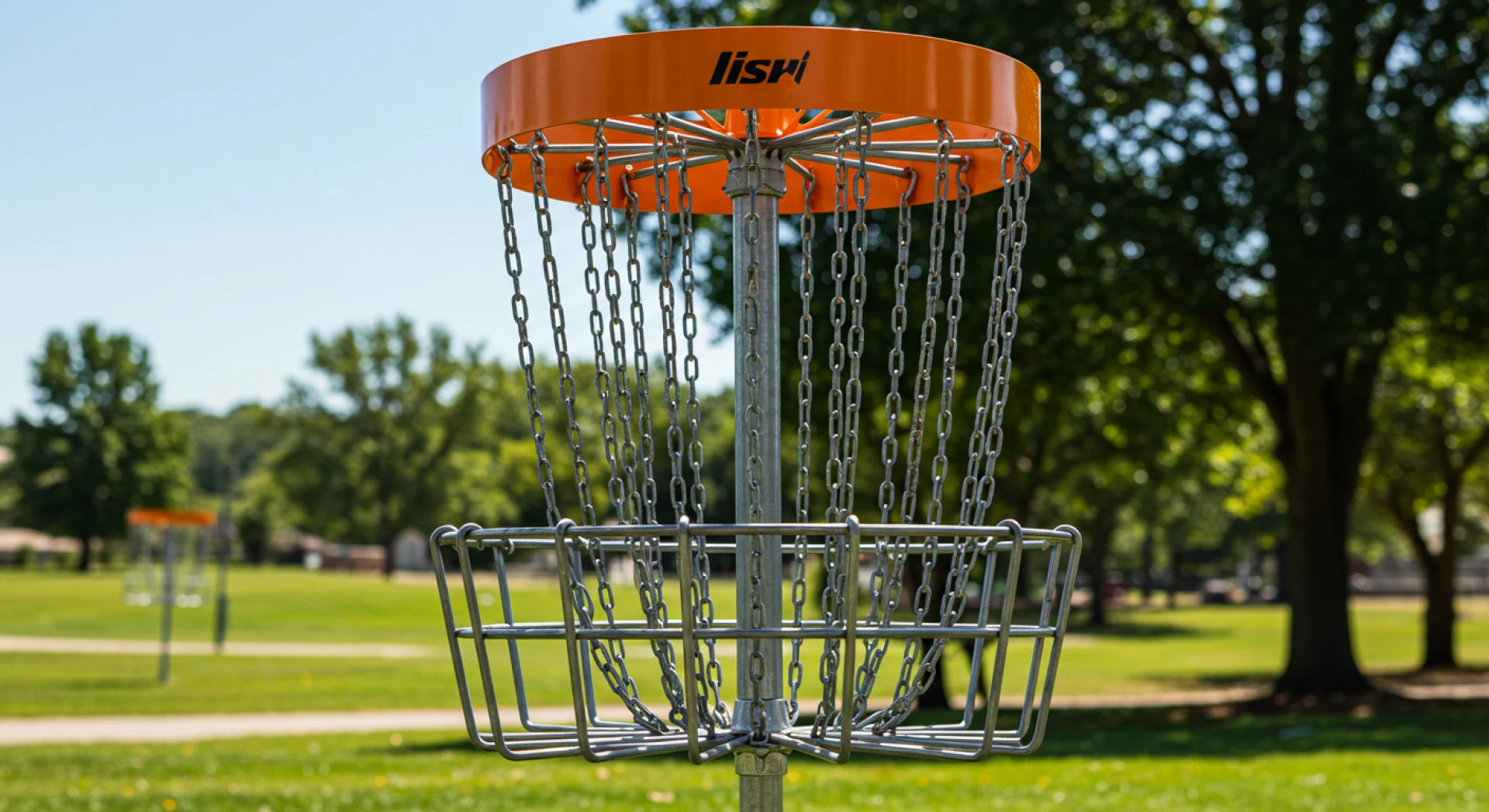 How to Find the Best Place to Buy Disc Golf Discs?