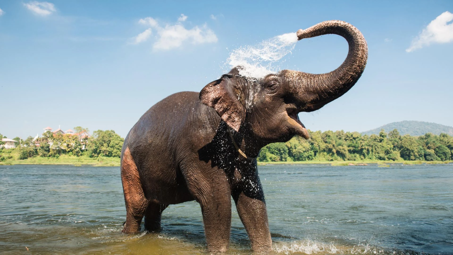 Discover the Best of Luxury Travel India and Wildlife Tour Packages India