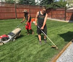 Trusted Calgary Team for Yard and Garden Upkeep