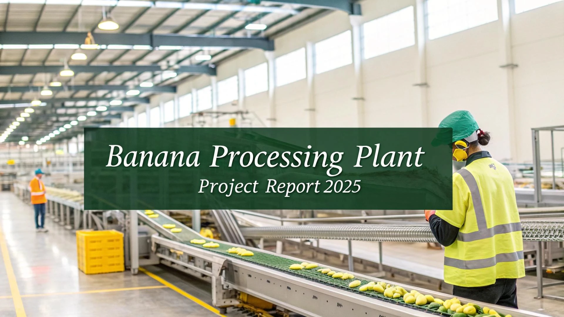 Banana Processing Plant Project Report 2025 – Setup Cost, Machinery, Raw Materials & Profitability