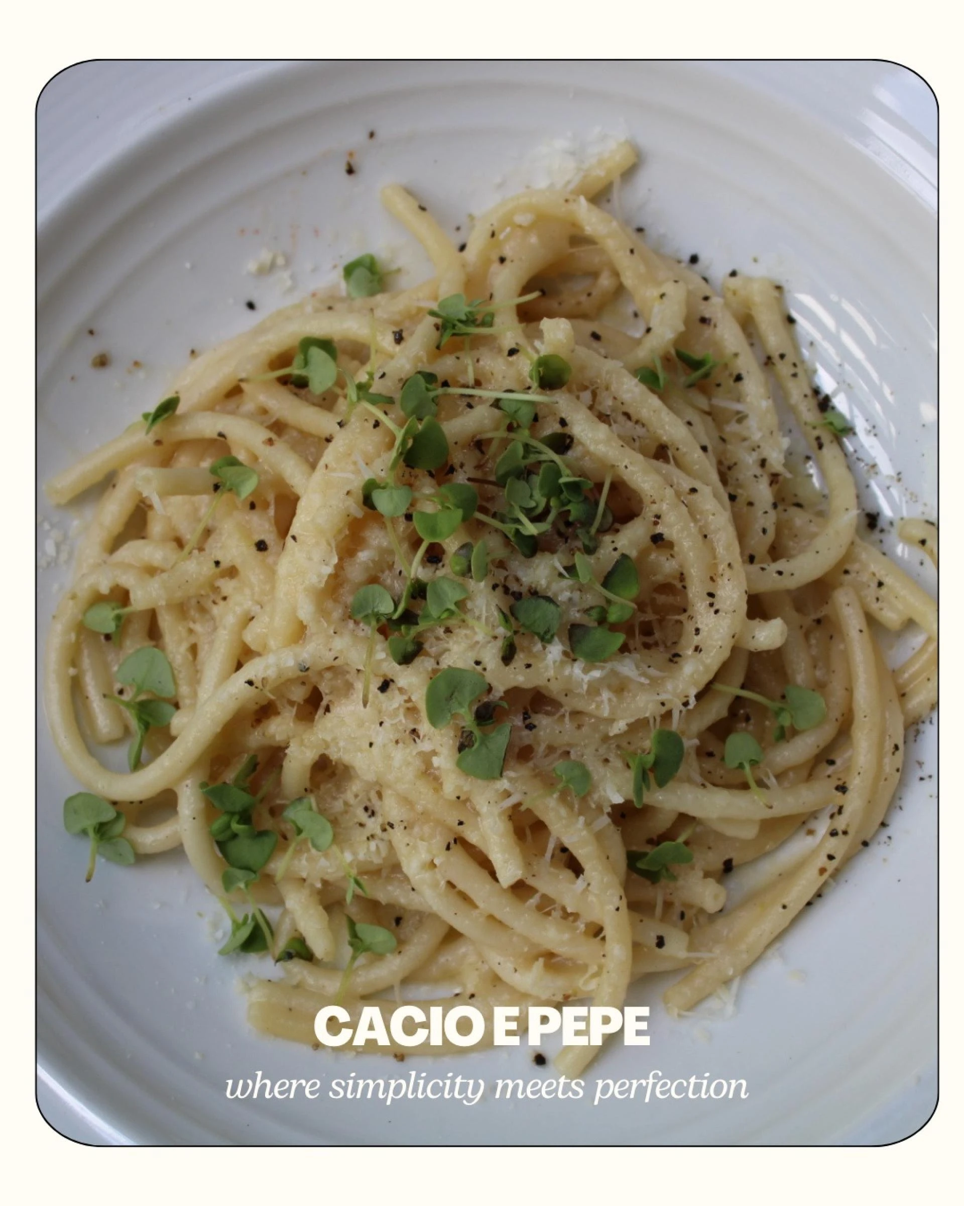 Where to Enjoy Fresh, Handmade Pasta in North Carolina