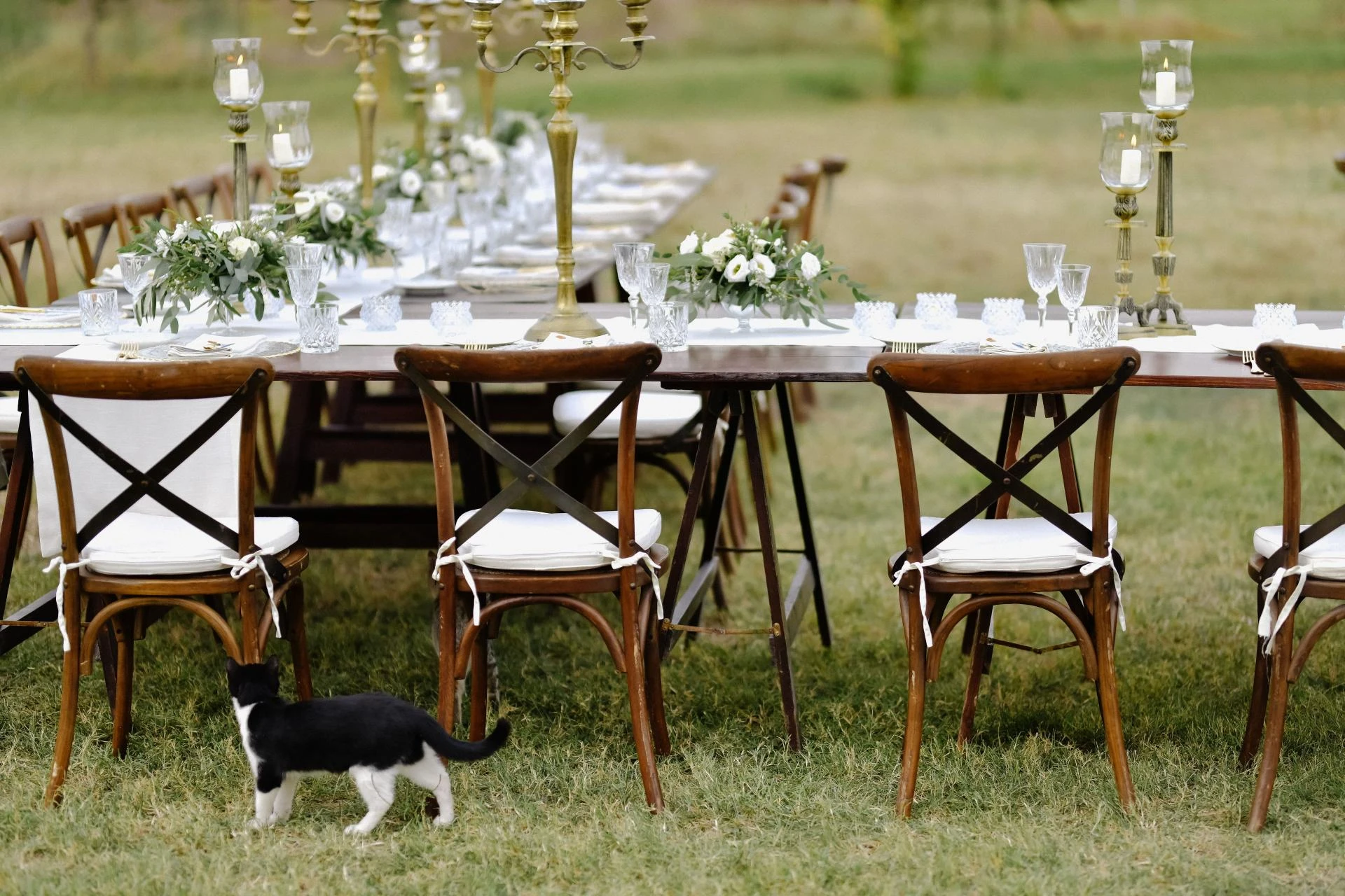 What to Consider When Renting Kids Party Tables and Chairs?