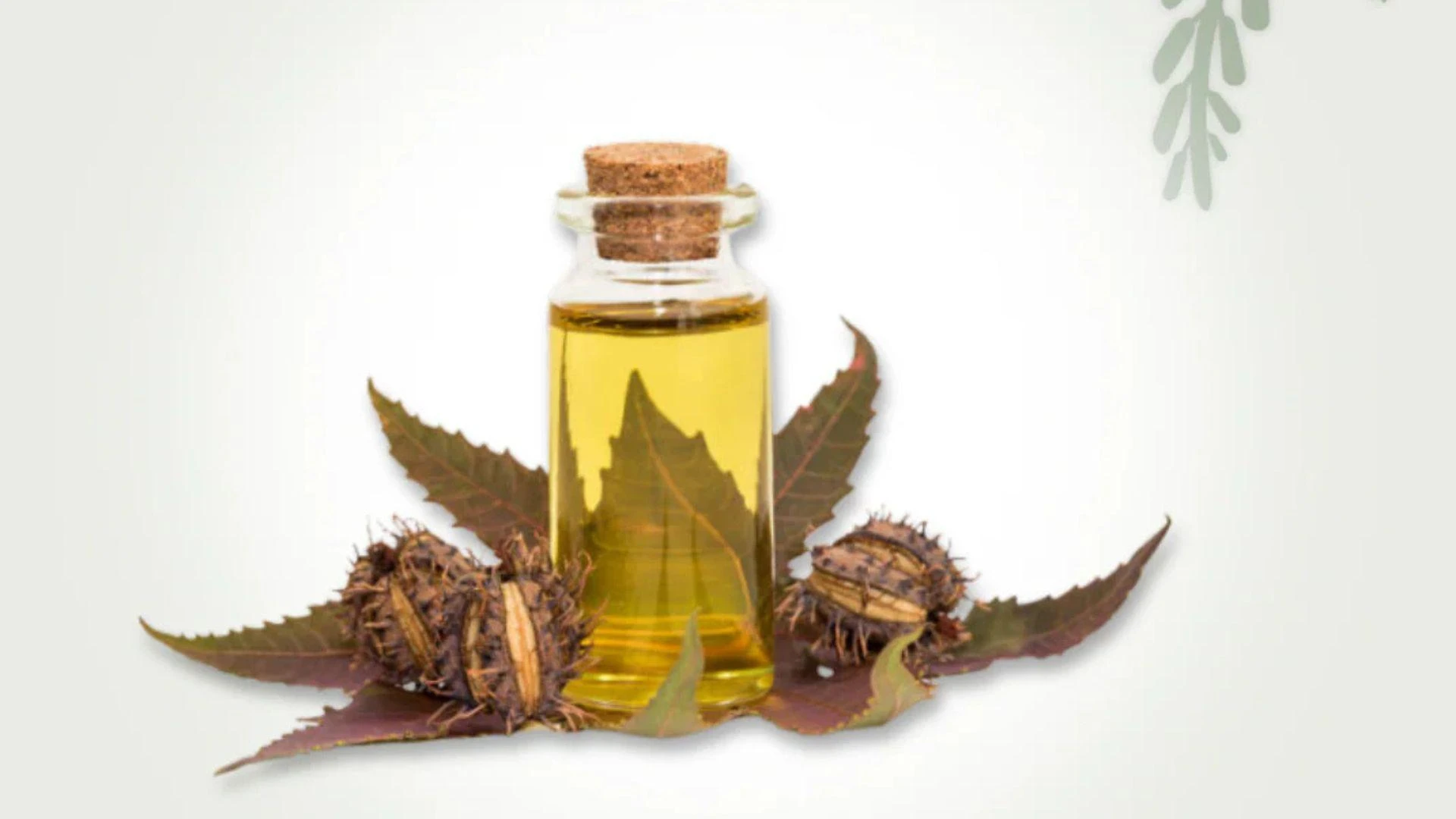 Using Castor Oil for Pimples on Sensitive Skin