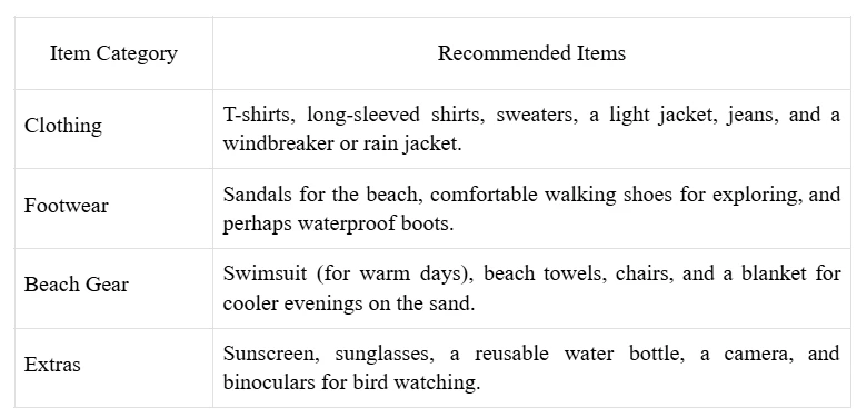 Oceanfront Hotels in Outer Banks: A Guide to Comfort and Luxury During Fall