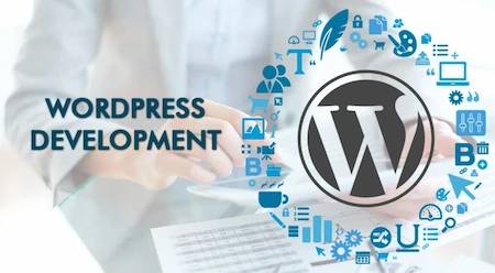How Our Company Builds Business-Specific Websites: Digital Marketing Robo