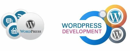 How Our Company Builds Business-Specific Websites: Digital Marketing Robo