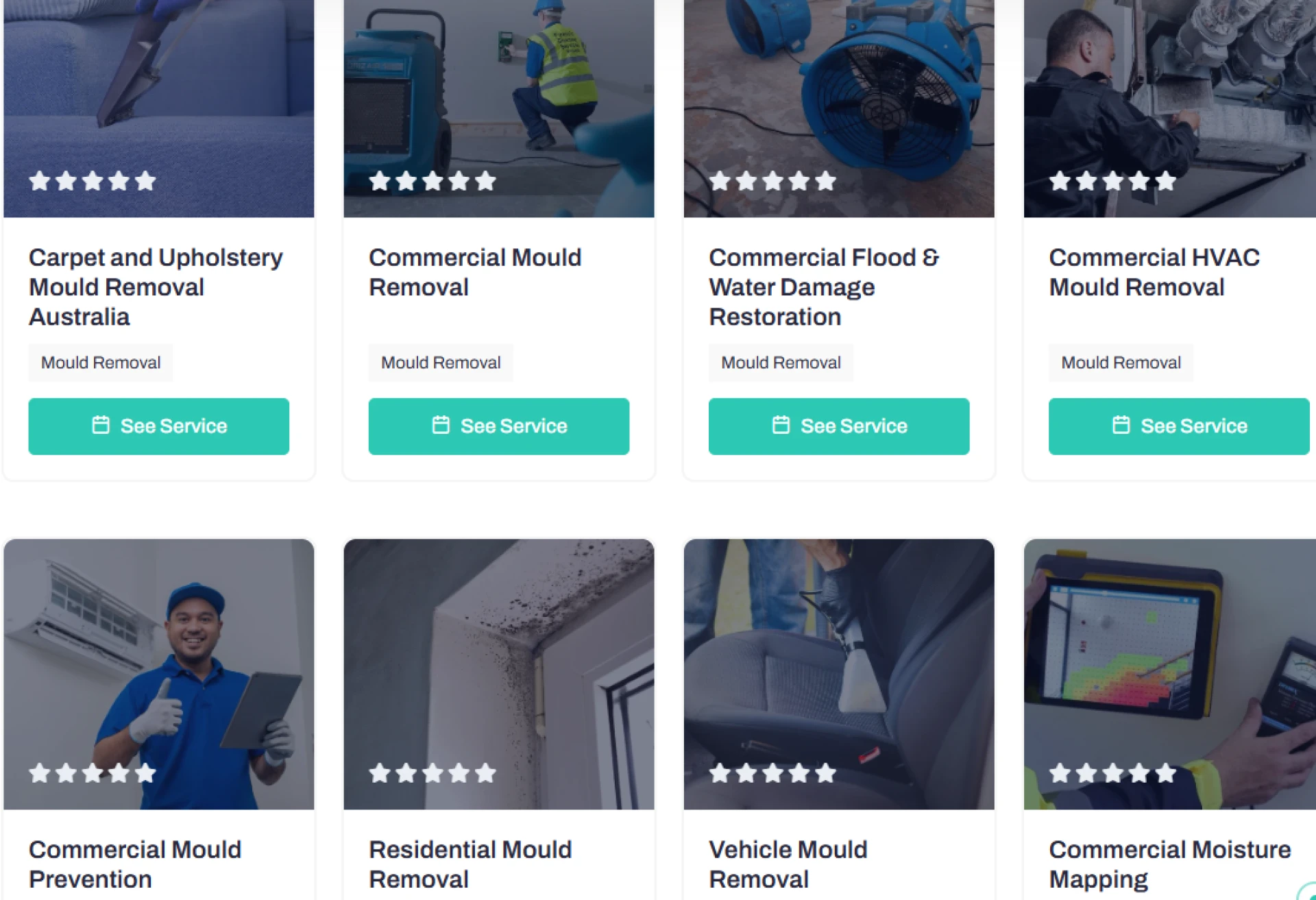 Top 10 Signs You Need Professional Mould Remediation Fast