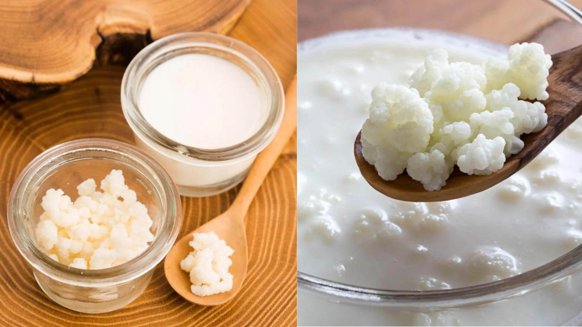 Discover the Best Kefir Grains for Health and Wellness