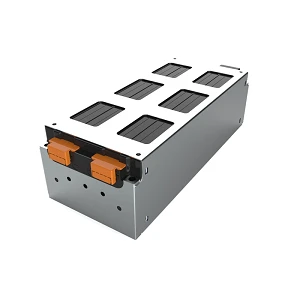 Lithium Ion Battery Module