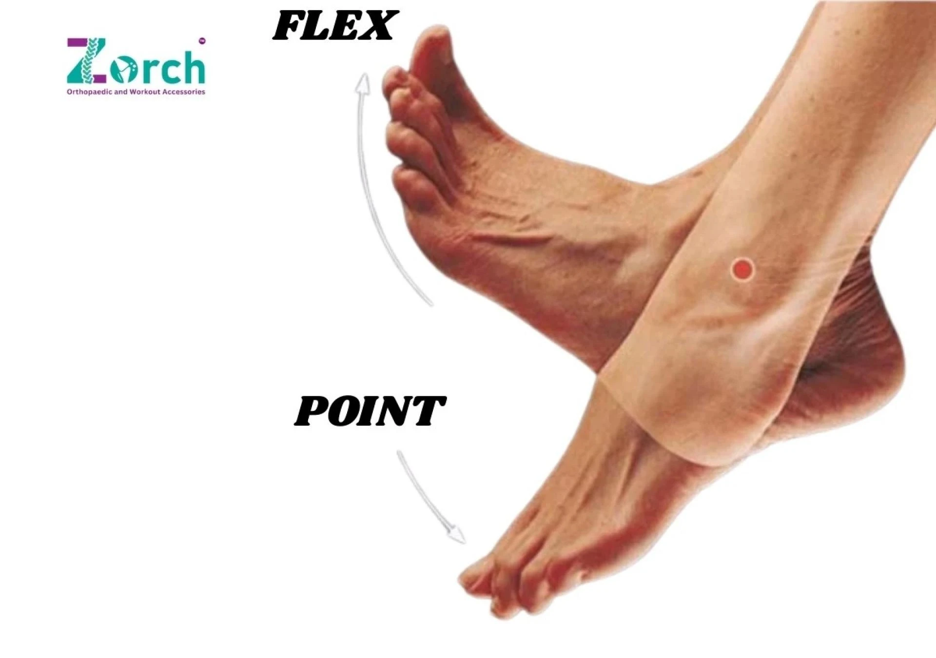 What is Ankle Pain and 8 Simple Exercises for Relief at Home