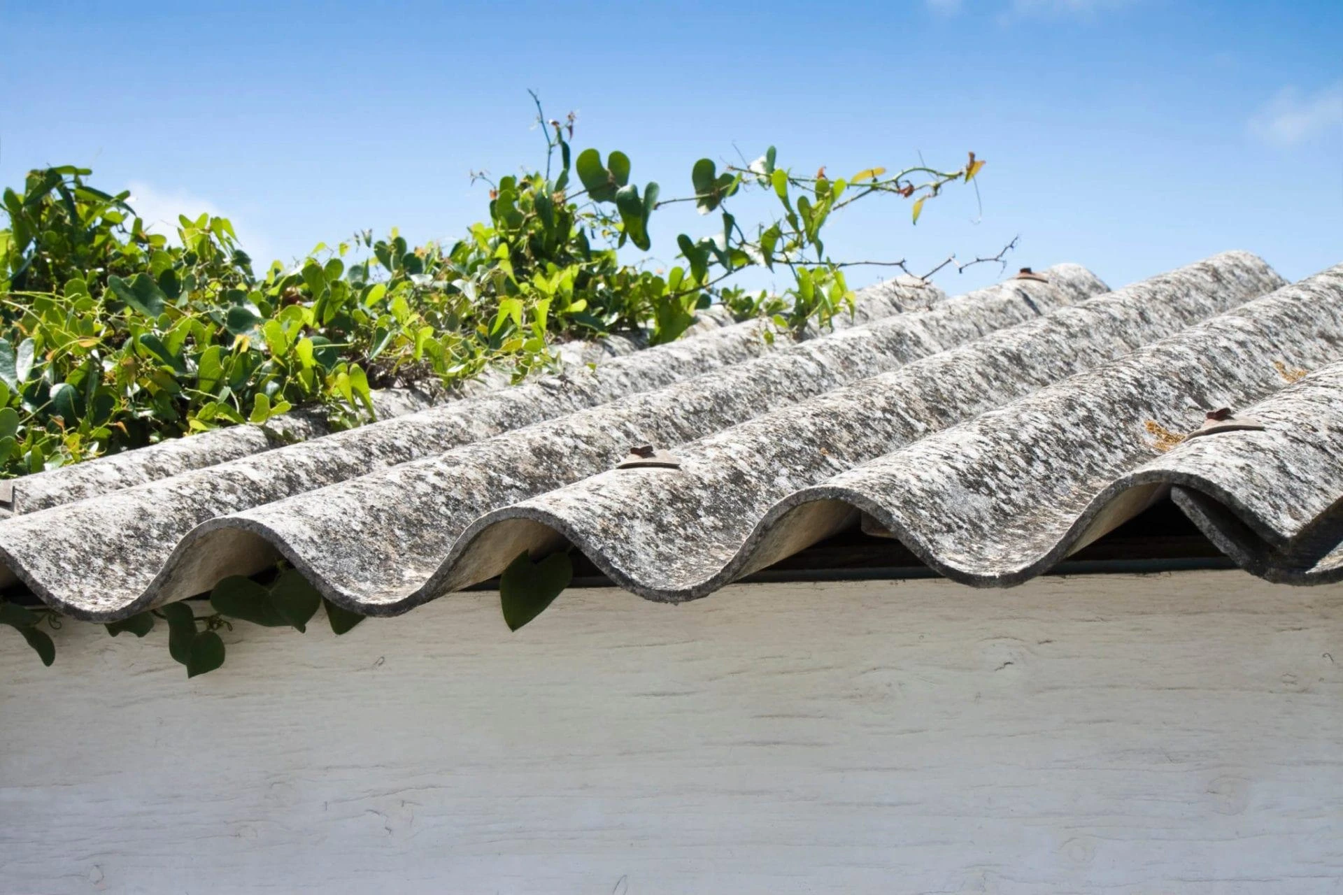 Could Your Property Be Hiding Asbestos? Here’s How to Find Out