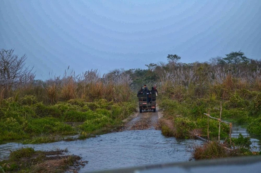 Ultimate Nepal Wildlife Tour – Jungle Safari & Nature