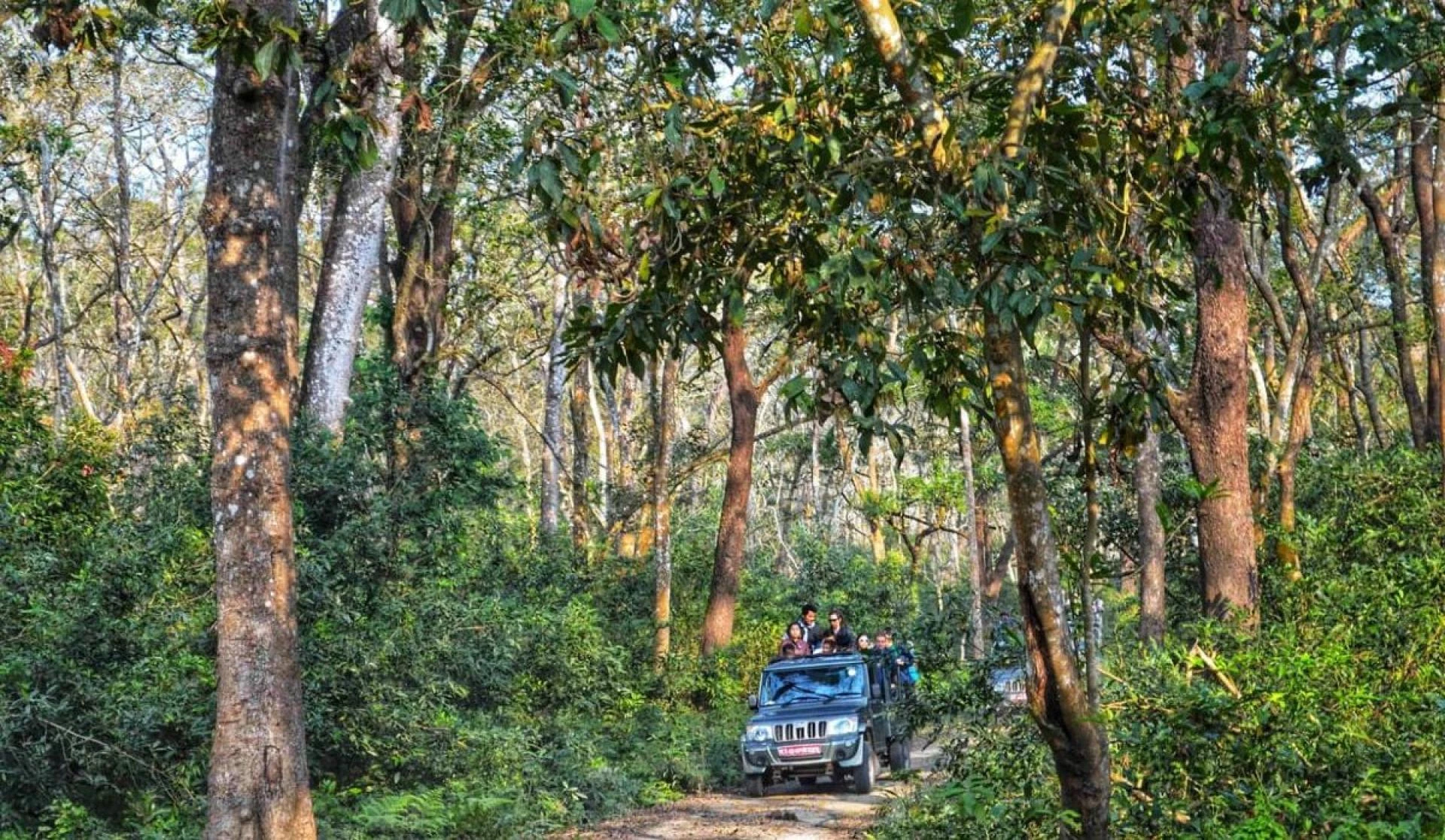 Ultimate Nepal Wildlife Tour – Jungle Safari & Nature