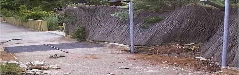 Why Brushwood Fences Feel More Like Nature Than Barriers