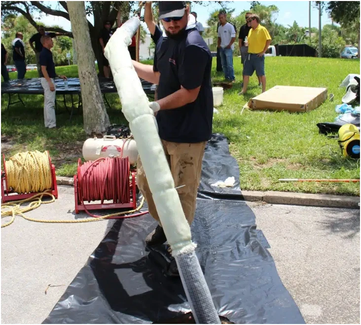 Tree Roots: A Significant Danger for Your Sewer Line