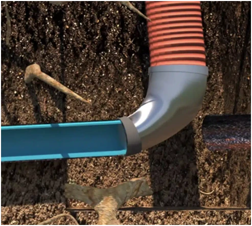 Tree Roots: A Significant Danger for Your Sewer Line