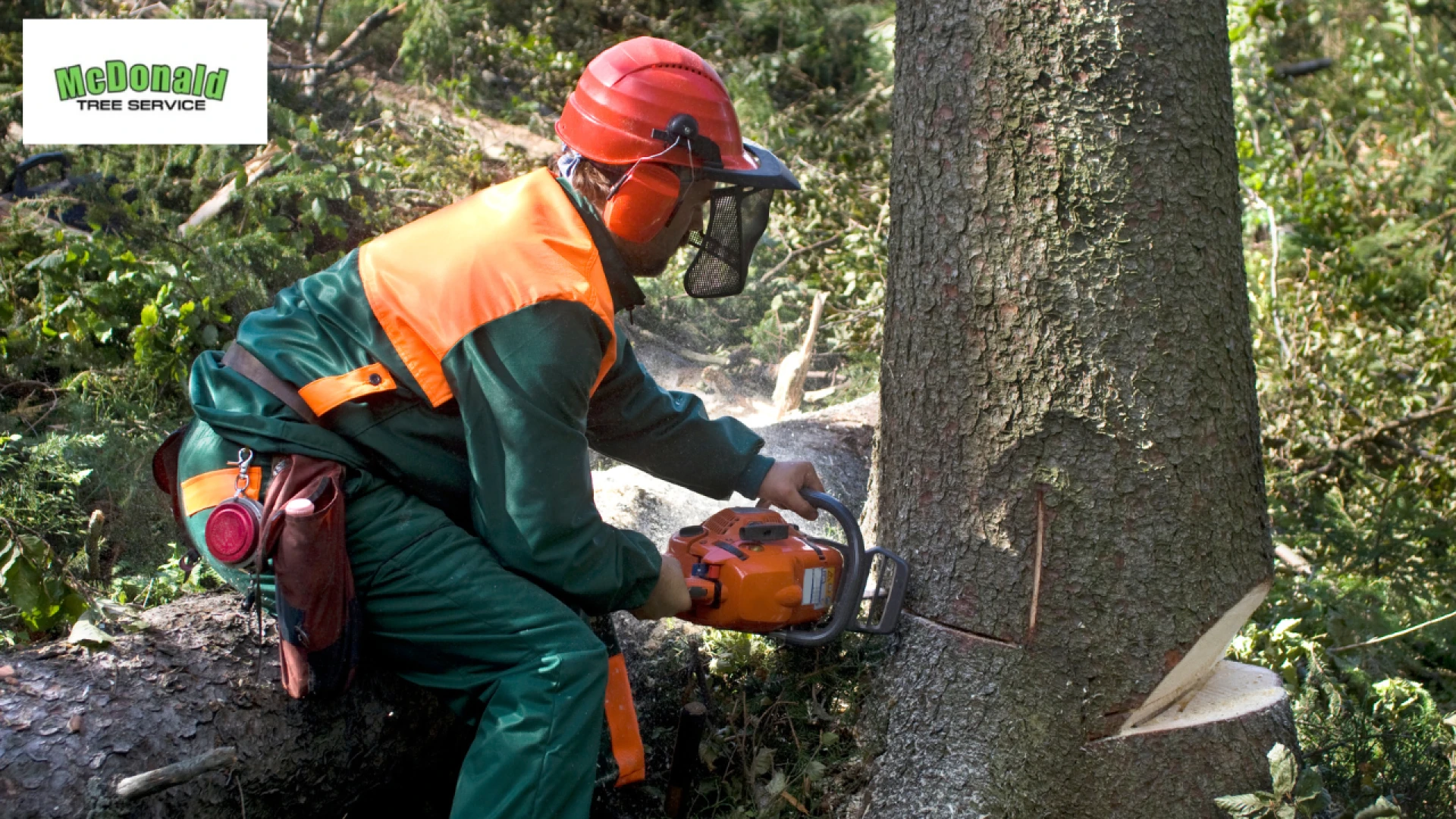 The Role of Tree Removal Billerica in Keeping Properties Safe