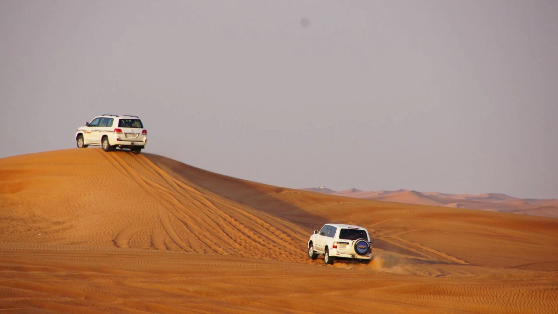 Your Guide to the Best Desert Safari Dubai Adventure