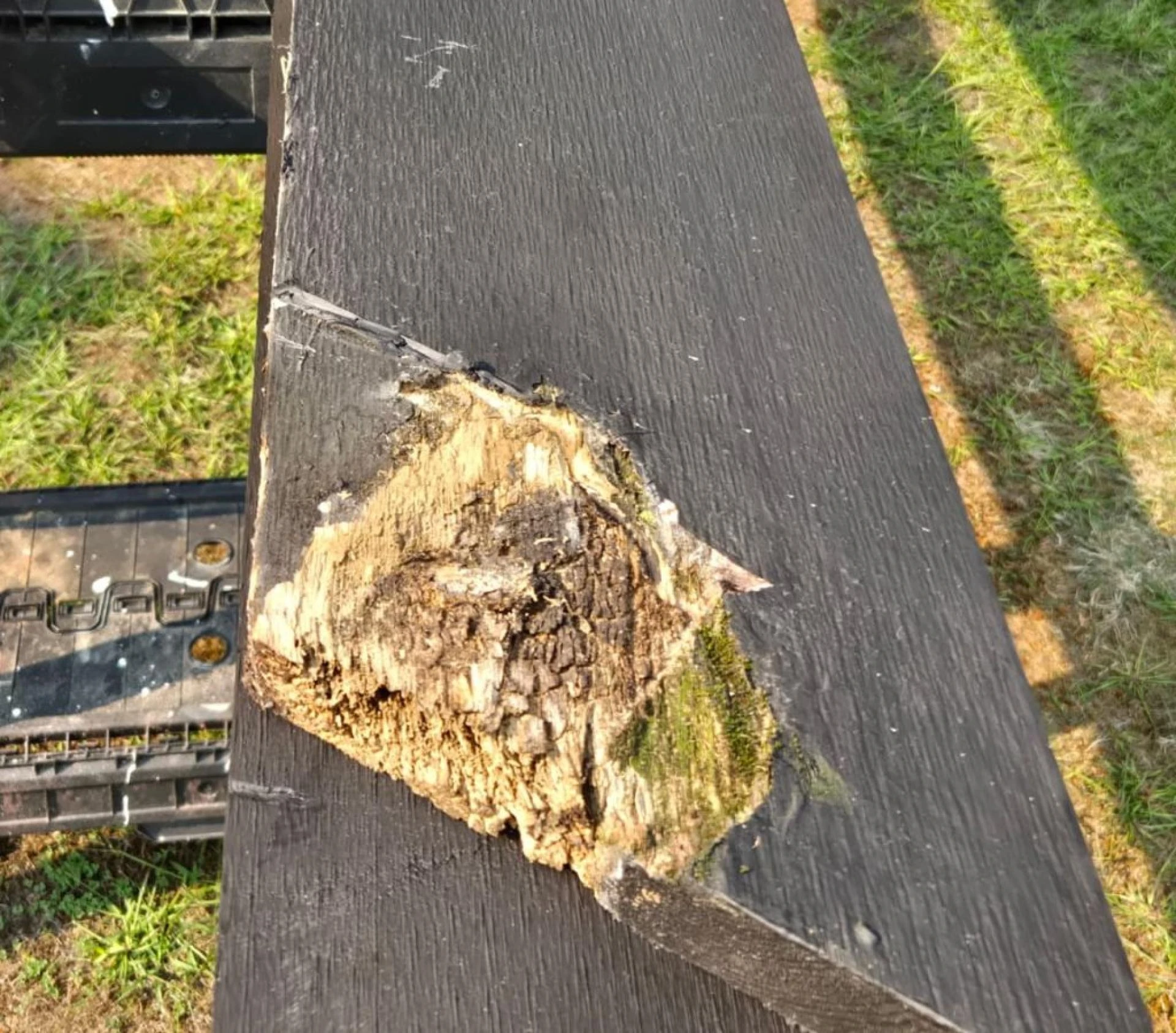 Recent Fascia Repair Work Completed by AdelCo in Toronto