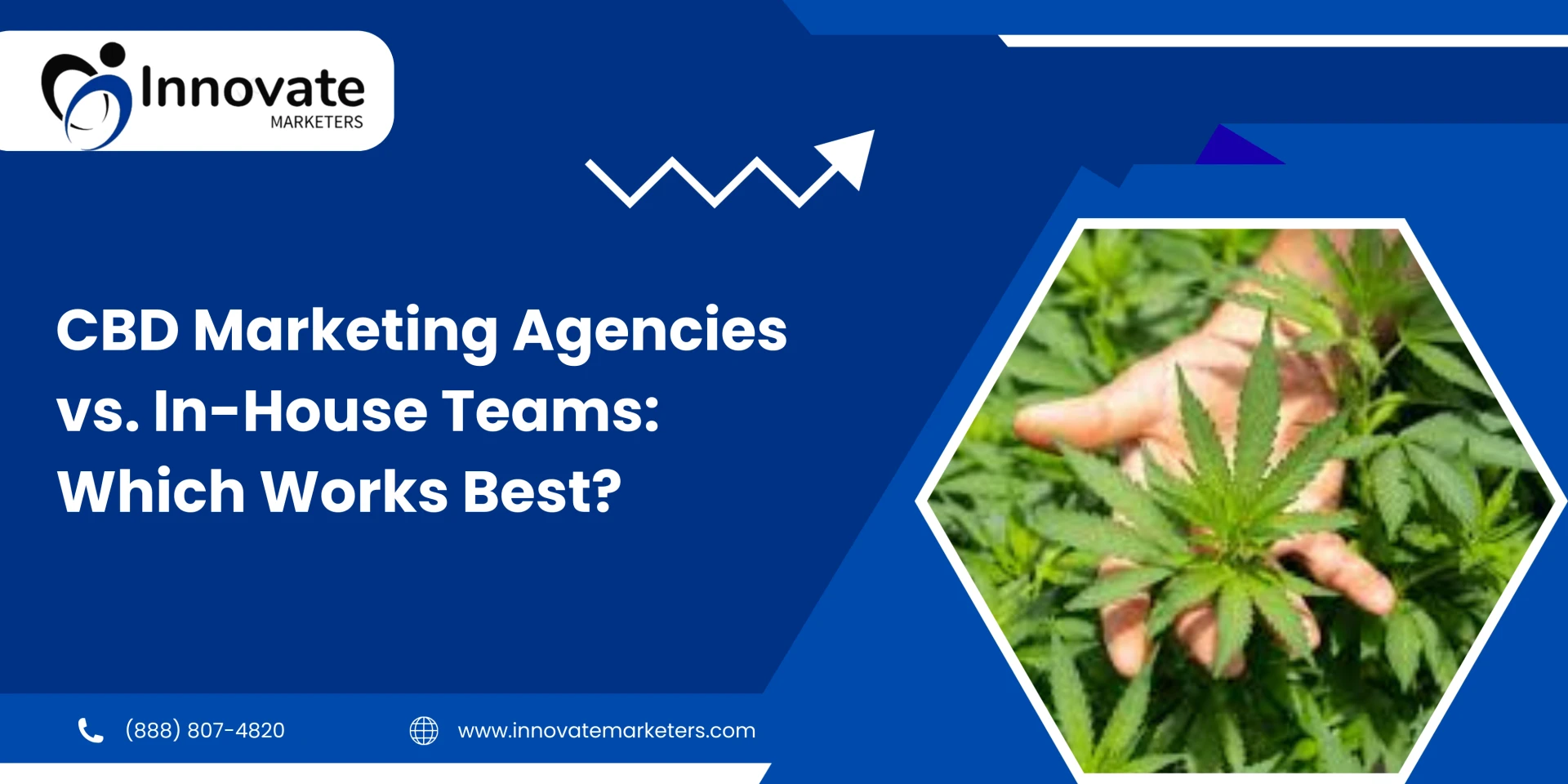 CBD Marketing Agencies vs. In-House Teams: Which Works Best?