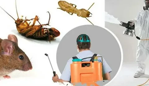 Pest Control Service & Pest Treatment Services by VenusPest
