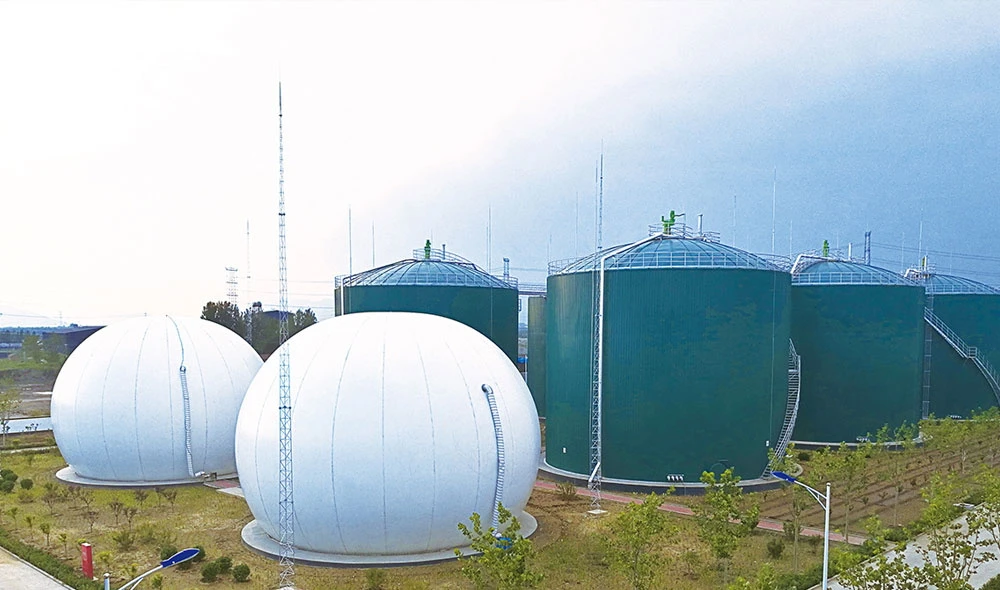 Chicken Manure Biogas Plant: Promoting Sustainable Development