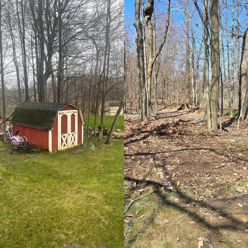 How Yard Waste Dumpsters Support Eco-Friendly Landscaping in Cleveland Heights