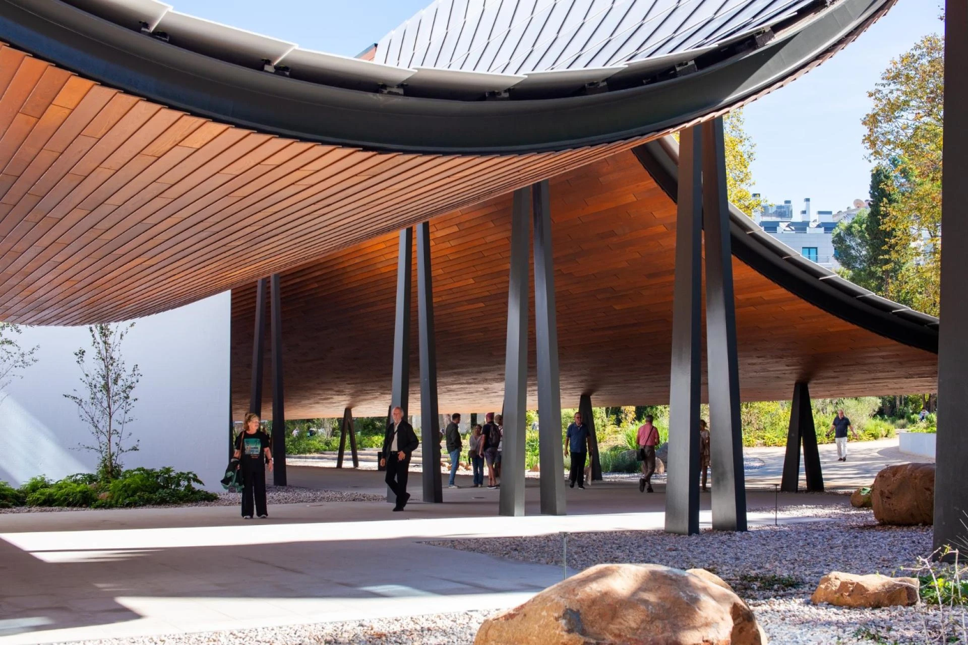 5 Signs You've Found the Right Pergolas Company in Fort Worth for Your Project