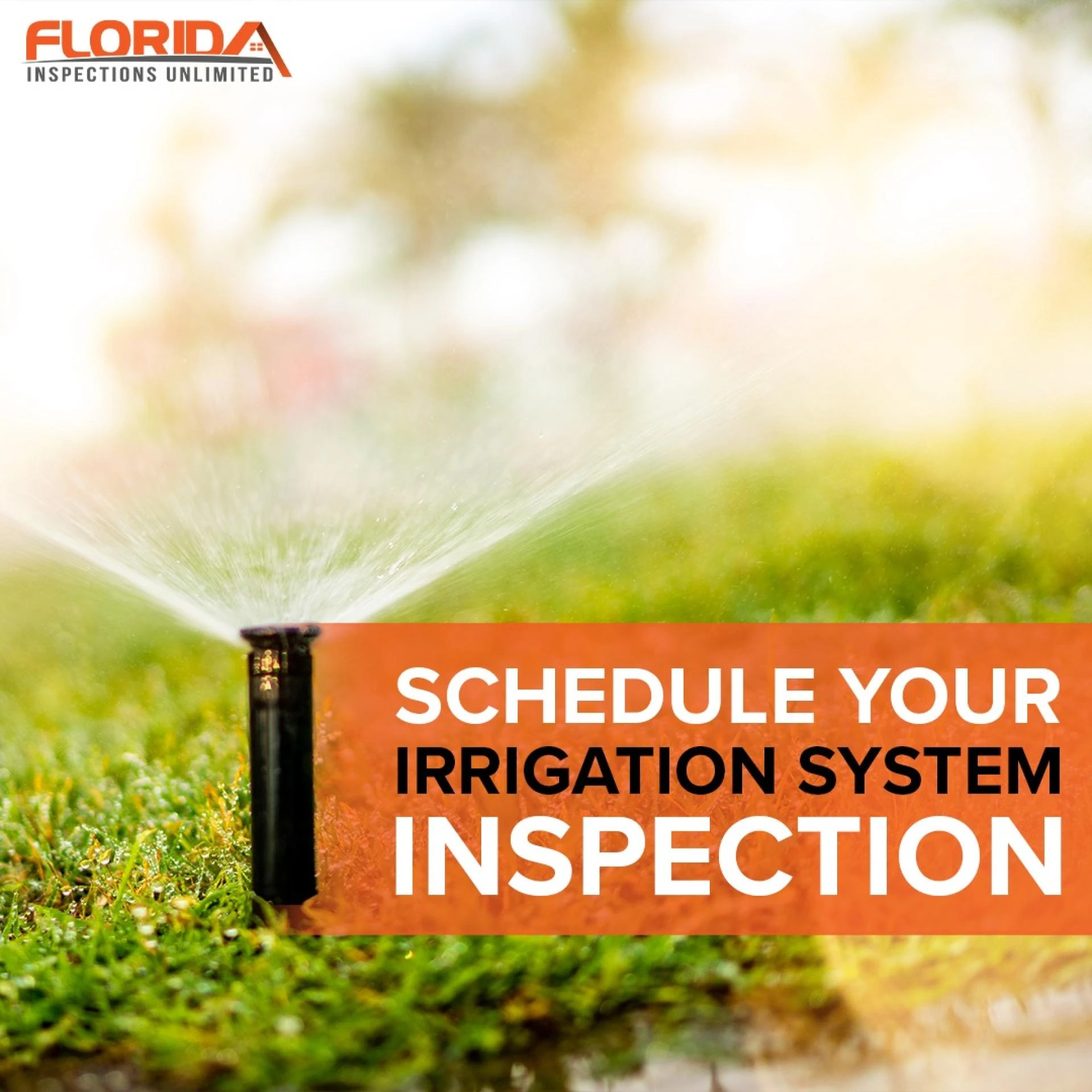 Miami Mold Inspection: How to Spot, Prevent, and Solve Moisture Problems