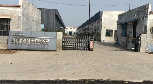 DSBR AUTOMOTIVE BEARINGS USED IN CAR MARKET