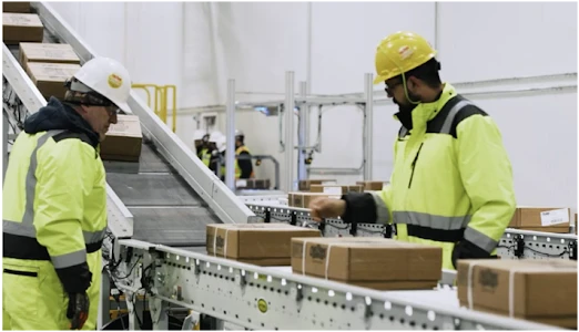 Traits To Consider When Choosing Automation Systems For the Food Industry