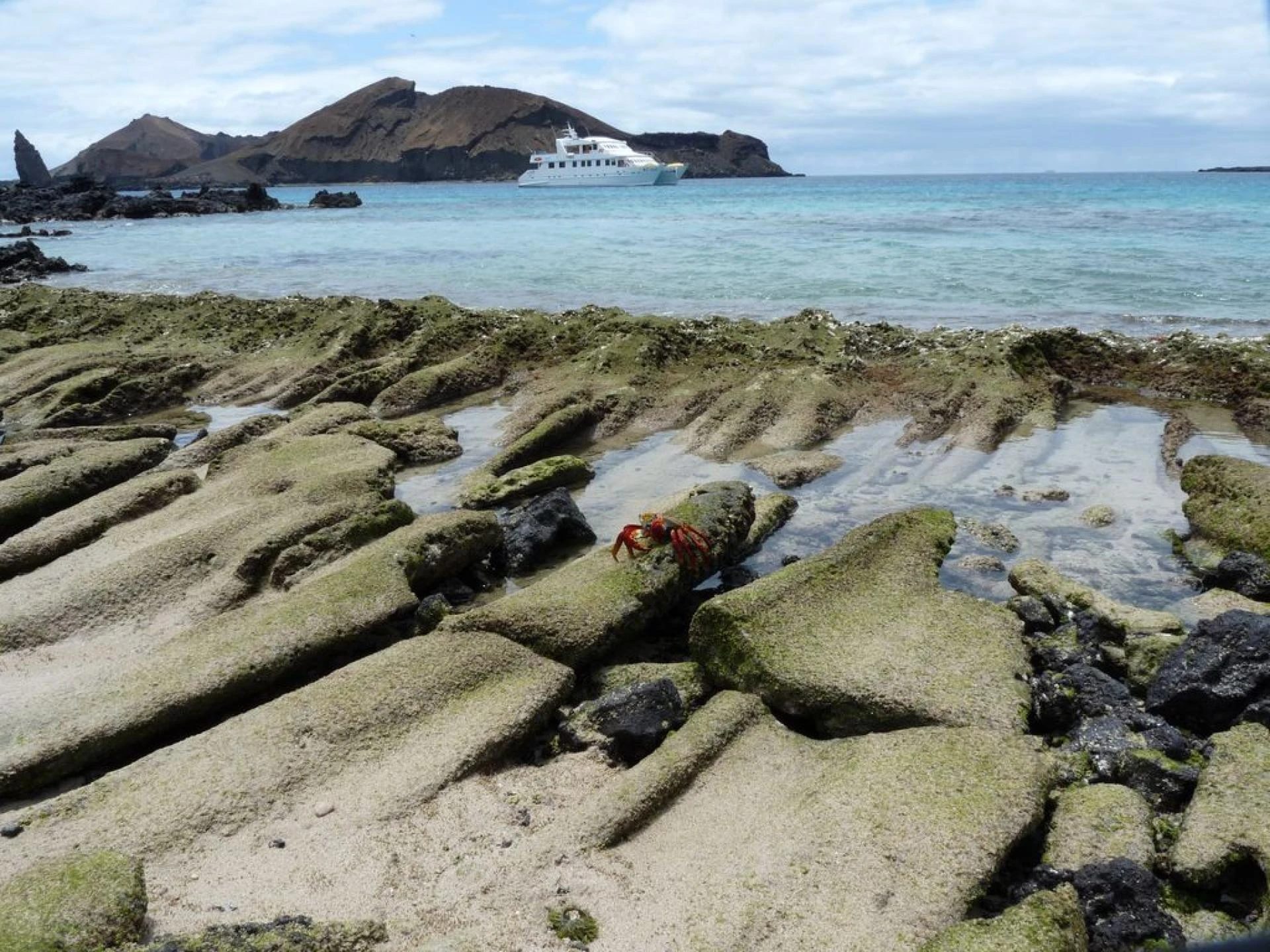 Why a Yacht Charter Galapagos Journey Is the Best Way to Experience the Islands