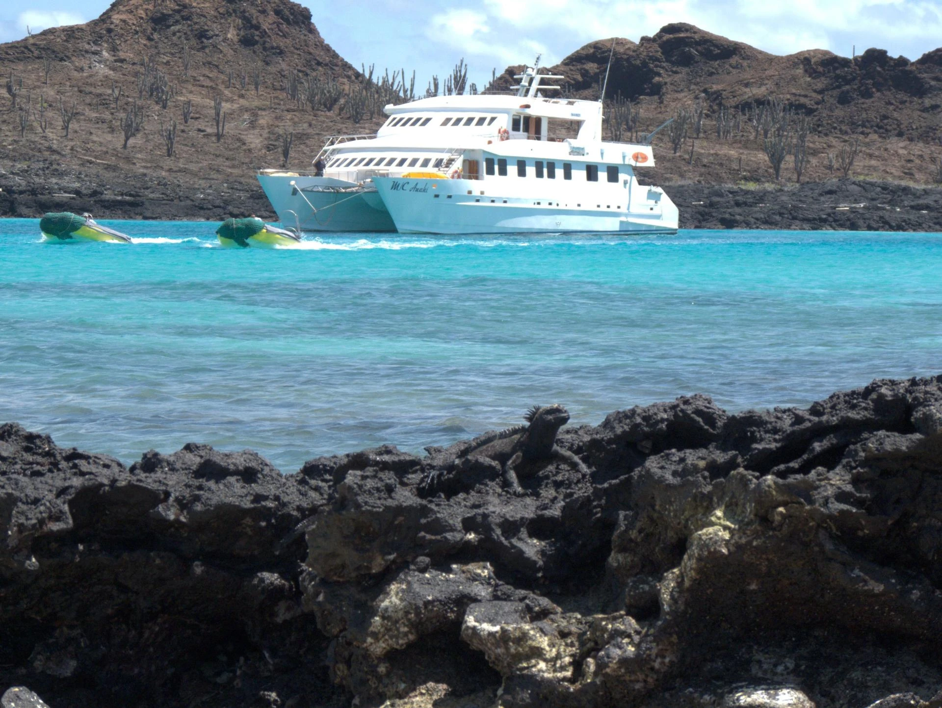 Why a Yacht Charter Galapagos Journey Is the Best Way to Experience the Islands