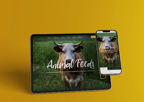 Android Application Development in Dubai: Transforming Digital Experiences