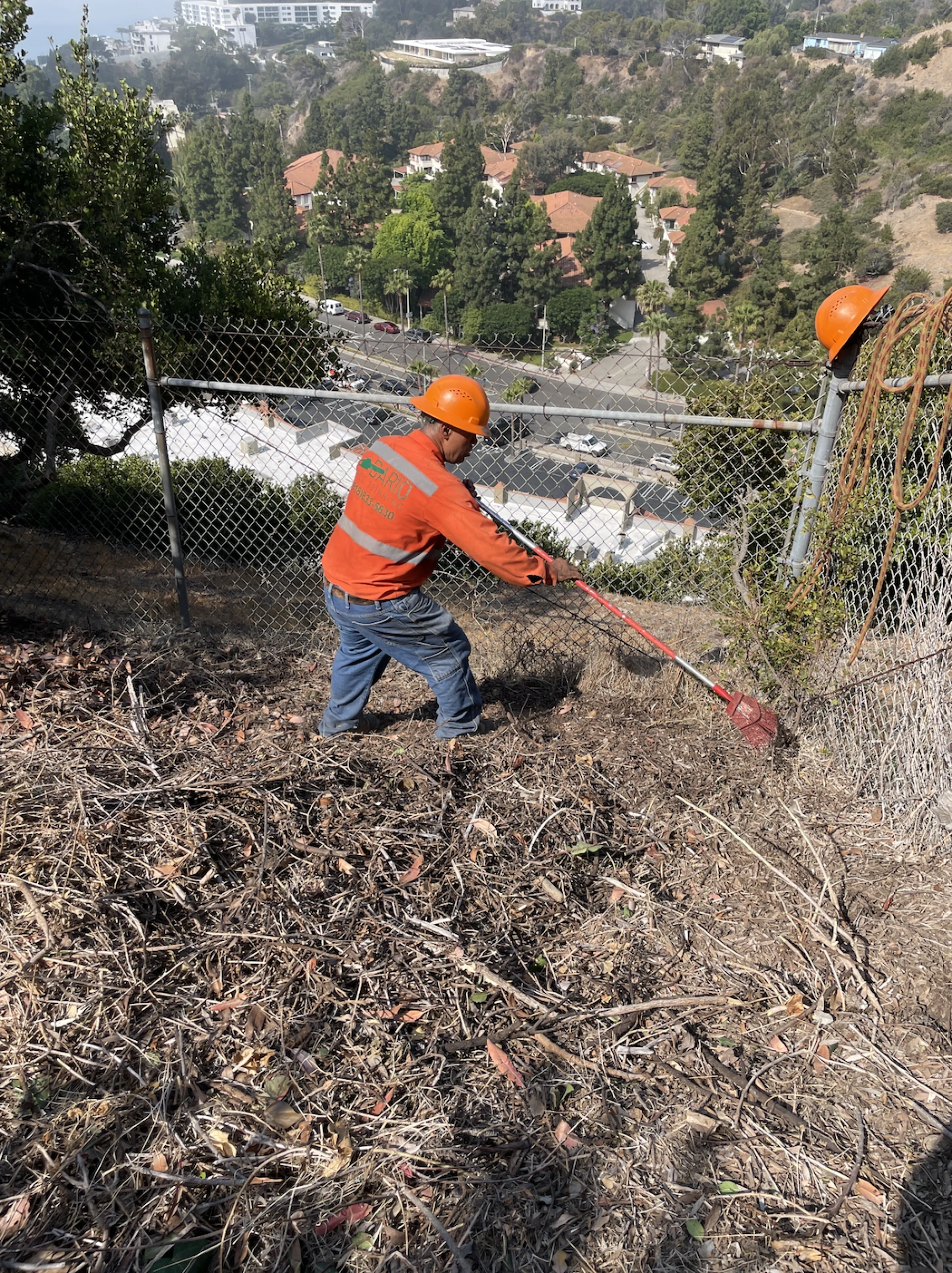 Year-Round Tree Care in Sylmar: Maintaining Healthy Trees in Southern California’s Climate 