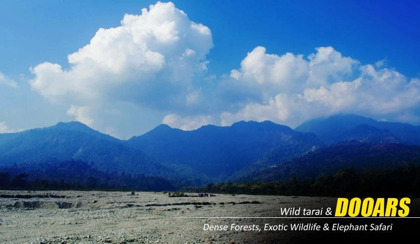 Wildlife Encounters in a Dooars Tour Package