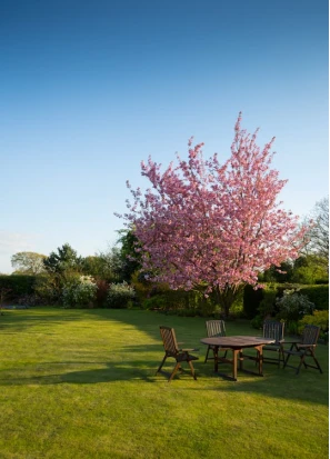 Landscaping for All Seasons: Creating a Property that Shines Year-Round