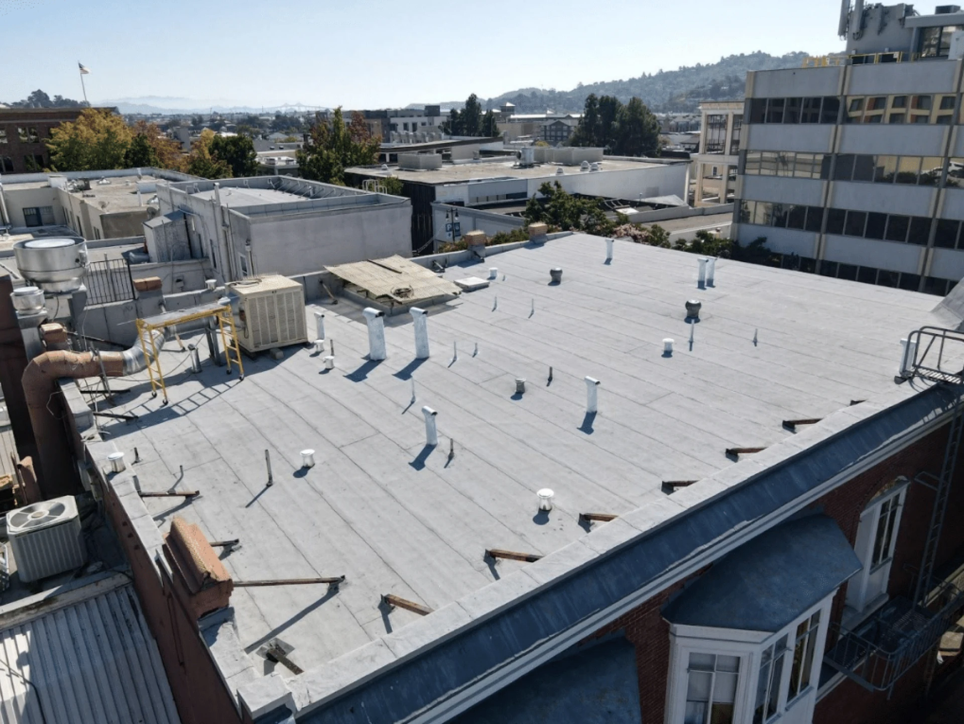 Protecting What Matters Most: Understanding Your Roof’s Needs for Ultimate Safety