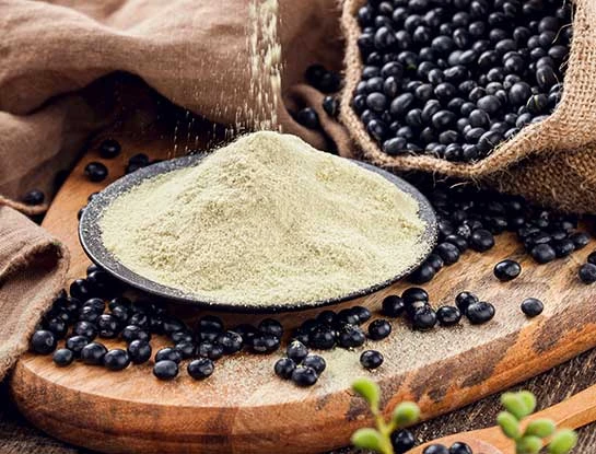 Application of Soybean Powder in Bread