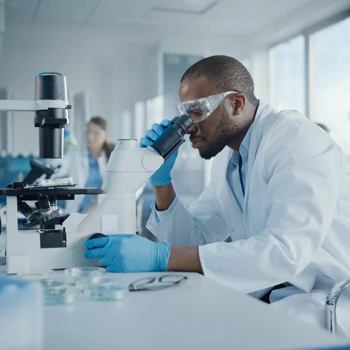 Toxistrategy: Expert Toxicology Consulting Services for Safety and Compliance