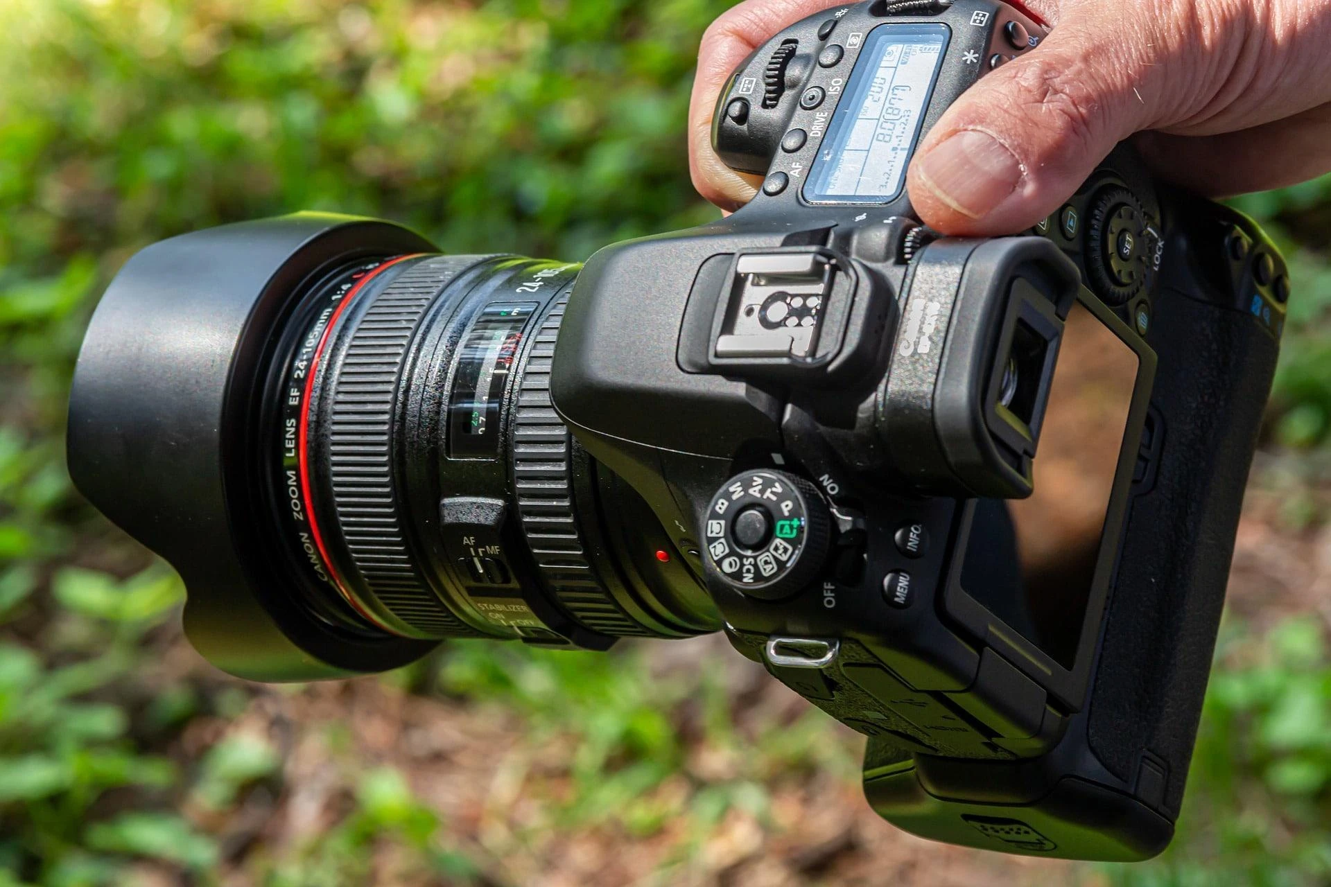 Sony FX2B: Bringing Nature to Life Through the Lens