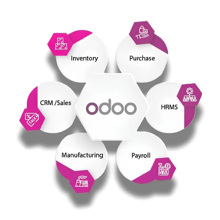 Top Benefits of Using Odoo ERP Software for Your Business