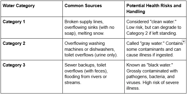 How does a water mitigation company safely handle contaminated water in Willsonville, OR?