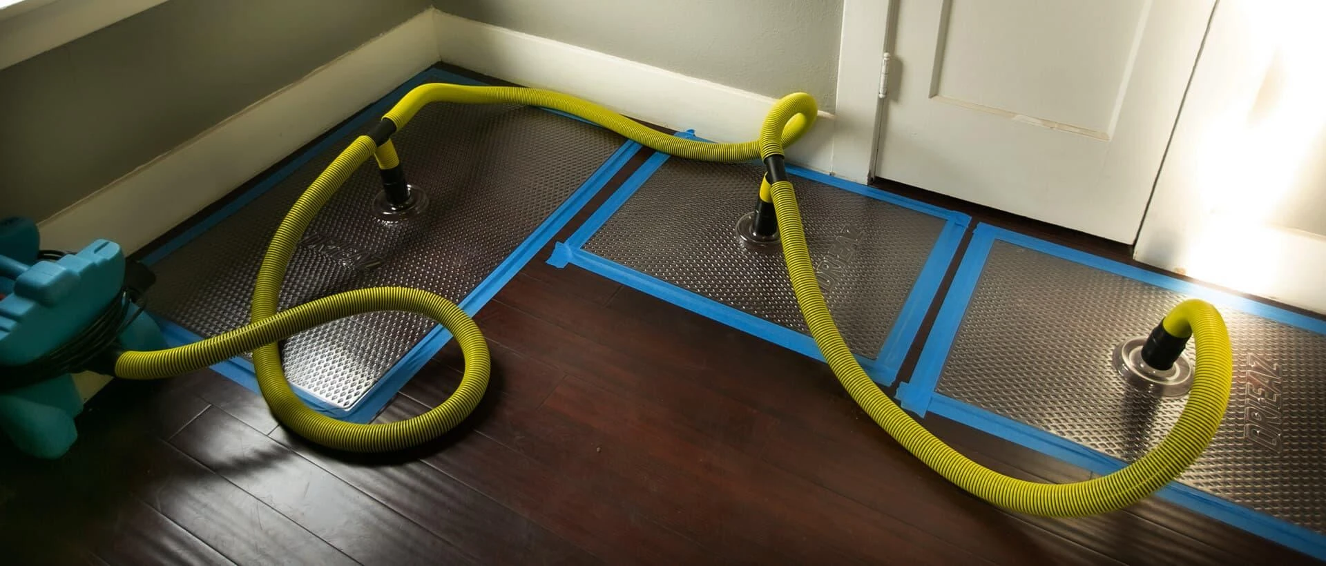 How does a water mitigation company safely handle contaminated water in Willsonville, OR?