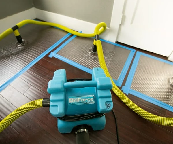 How does a water mitigation company safely handle contaminated water in Willsonville, OR?